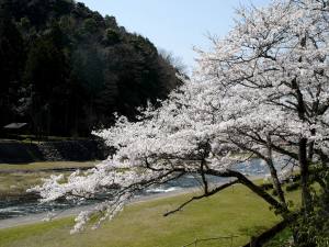 三朝温泉 やなせ公園