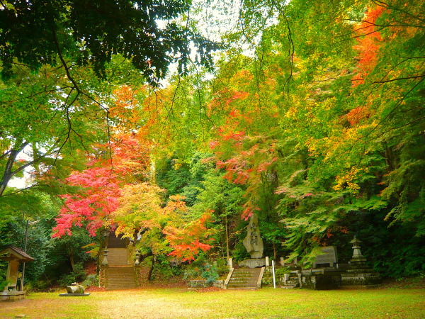 秋の定番 紅葉 鳥取県観光案内 とっとり旅の生情報