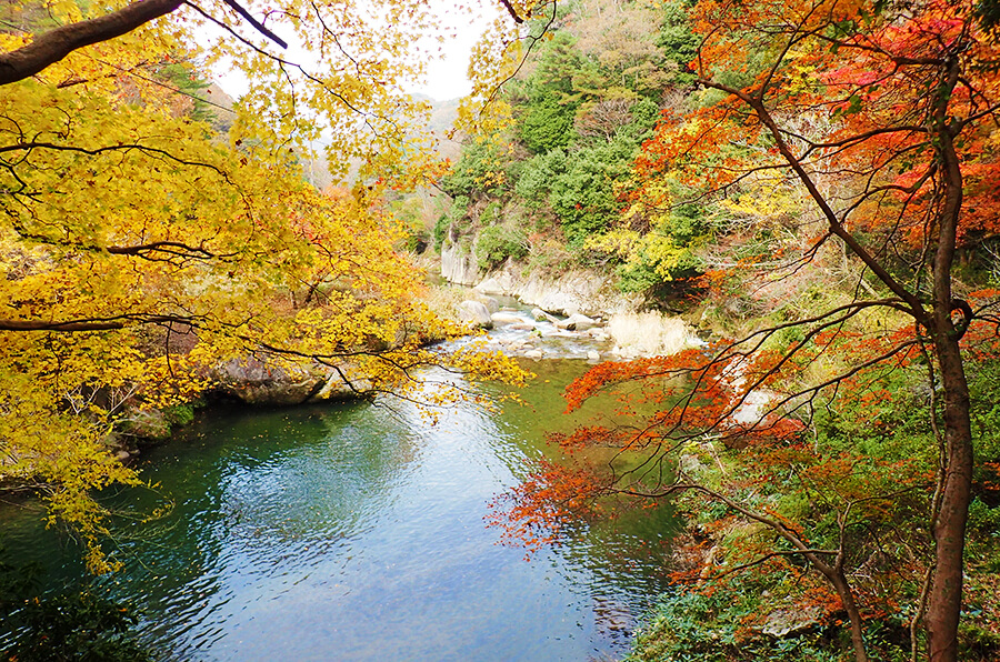 秋の定番 紅葉 鳥取県観光案内 とっとり旅の生情報