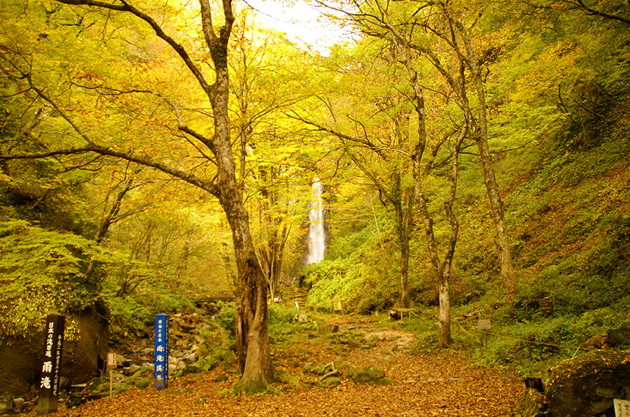 秋の定番 紅葉 鳥取県観光案内 とっとり旅の生情報