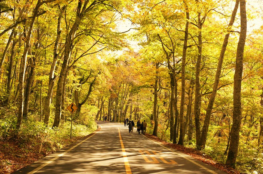 秋の定番 紅葉 鳥取県観光案内 とっとり旅の生情報