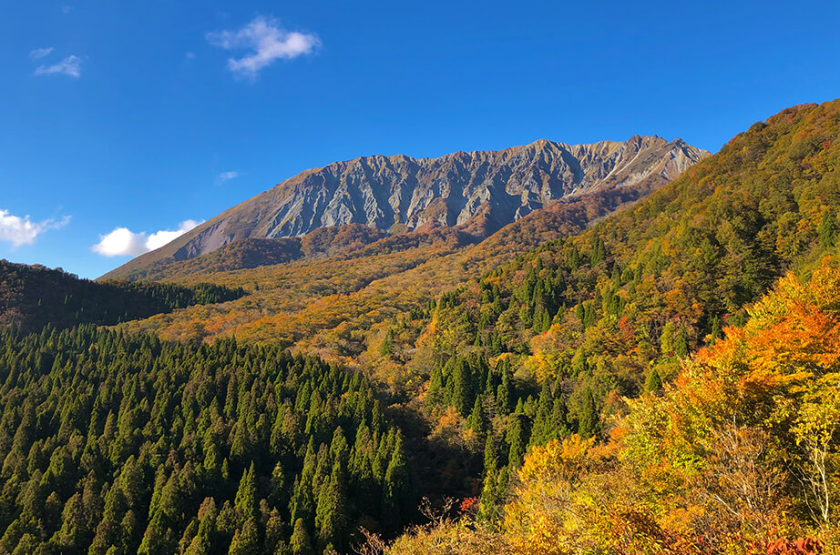 秋の定番 紅葉 鳥取県観光案内 とっとり旅の生情報