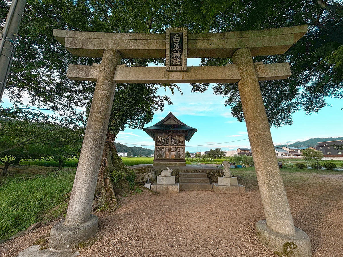 福本白兎神社