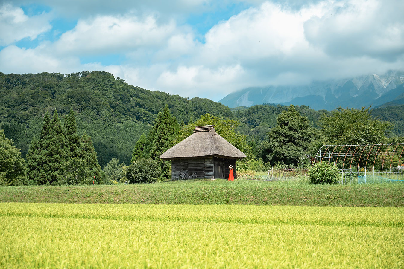 御机の茅葺小屋