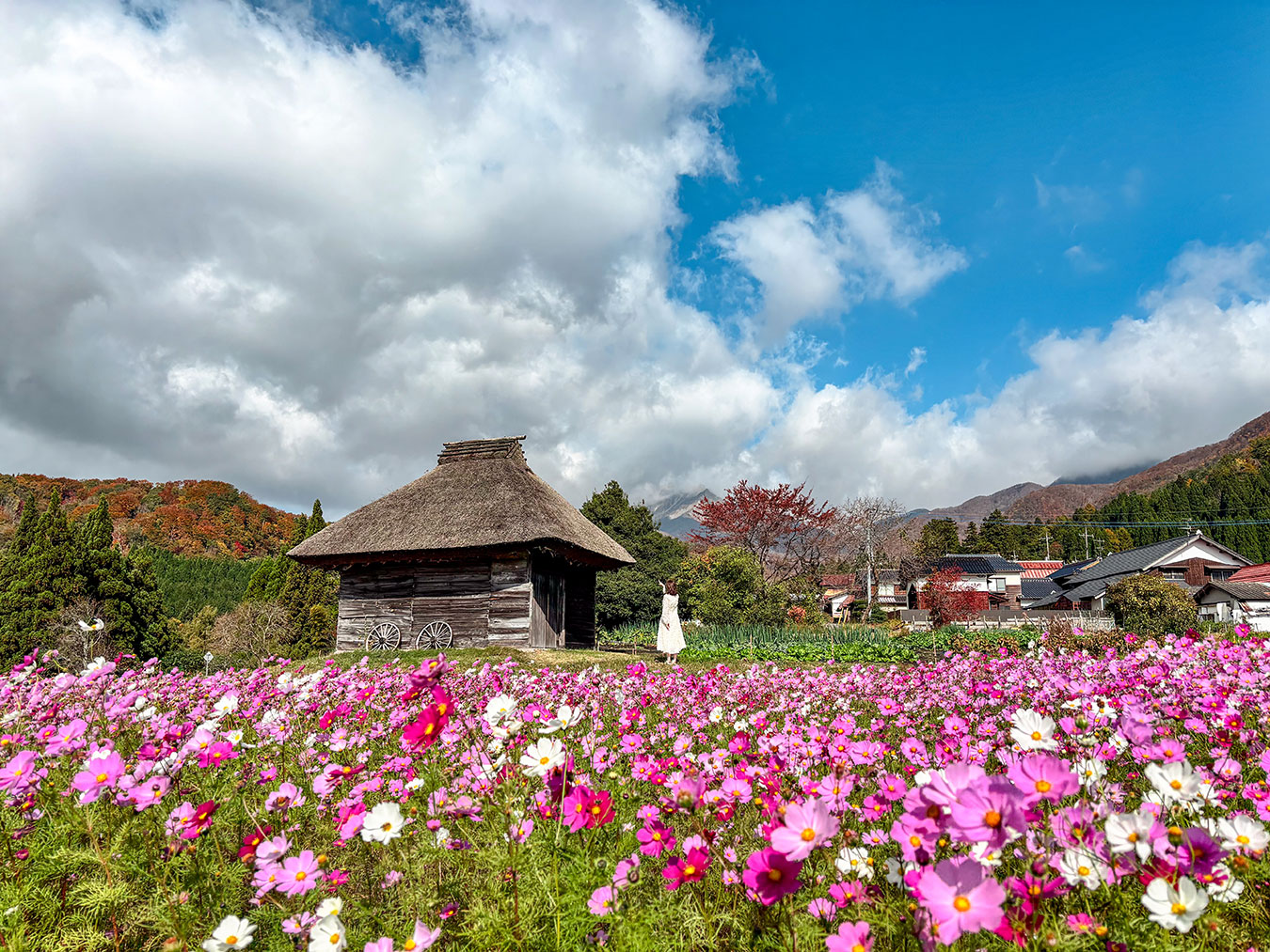 御机の茅葺小屋